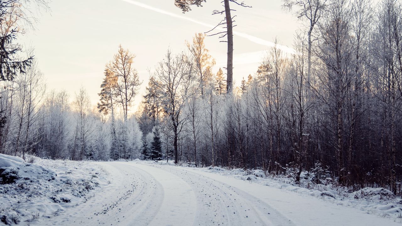 Обои дорога, снег, деревья, природа