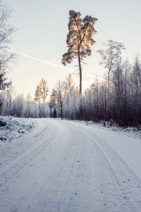 Превью обои дорога, снег, деревья, природа