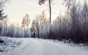 Превью обои дорога, снег, деревья, природа