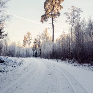 Превью обои дорога, снег, деревья, природа