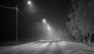 Превью обои дорога, снег, фонари, туман, зима, иней, деревья