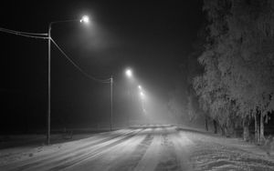 Превью обои дорога, снег, фонари, туман, зима, иней, деревья