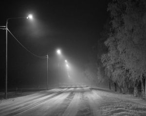 Превью обои дорога, снег, фонари, туман, зима, иней, деревья