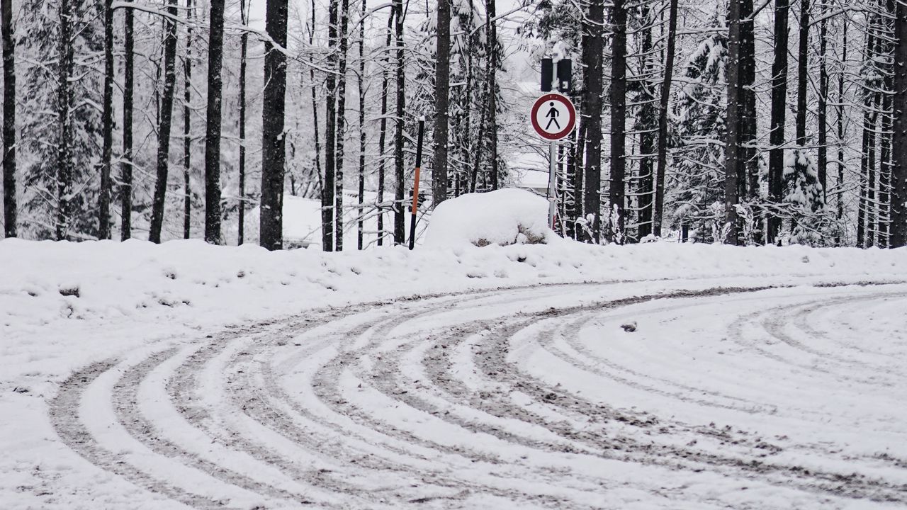 Обои дорога, снег, поворот, деревья, зима