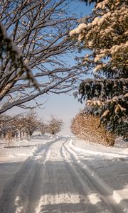 Превью обои дорога, снег, след, деревья, зима