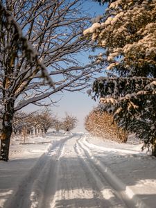 Превью обои дорога, снег, след, деревья, зима