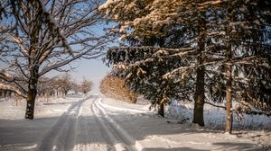 Превью обои дорога, снег, след, деревья, зима