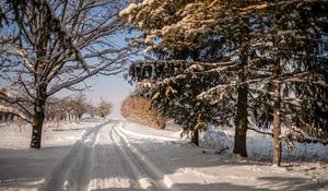 Превью обои дорога, снег, след, деревья, зима