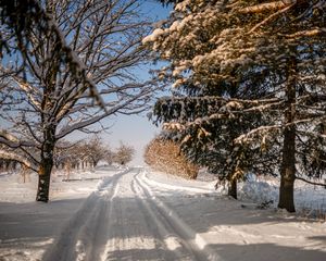 Превью обои дорога, снег, след, деревья, зима