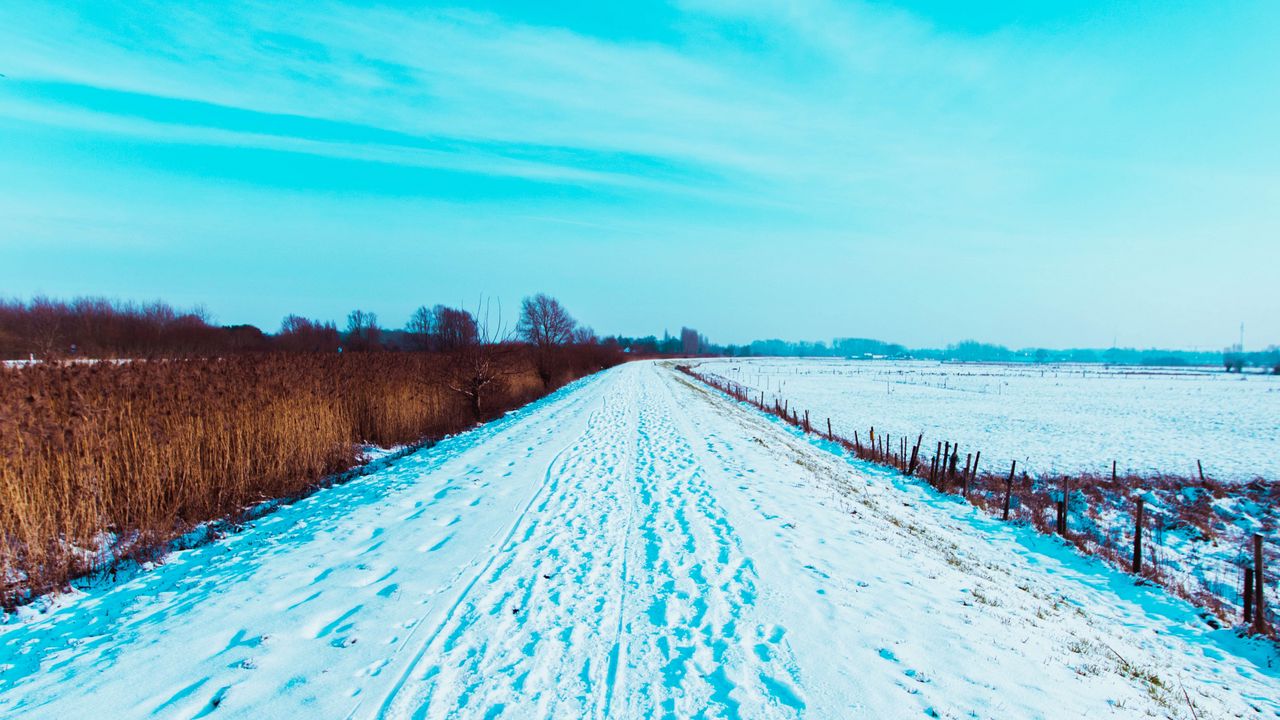 Обои дорога, снег, следы, поле, зима, пейзаж