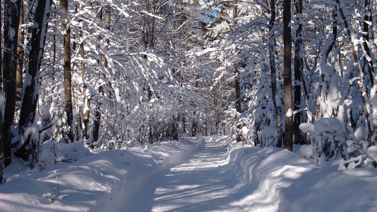 Обои дорога, снег, сугробы, деревья, лес
