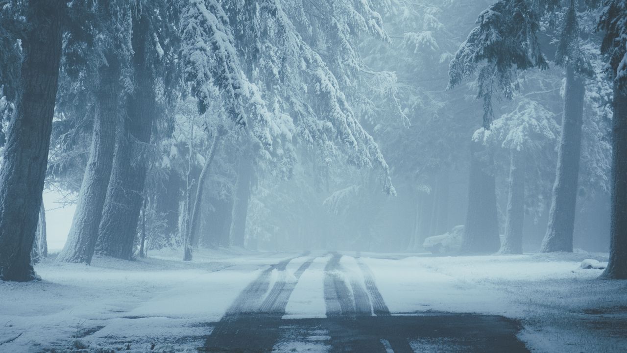 Обои дорога, снег, туман, зима, деревья, следы