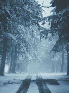 Превью обои дорога, снег, туман, зима, деревья, следы