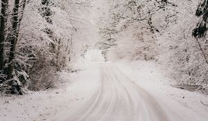 Превью обои дорога, снег, зима, лес, деревья, кусты