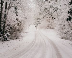 Превью обои дорога, снег, зима, лес, деревья, кусты