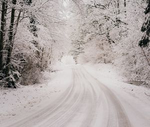 Превью обои дорога, снег, зима, лес, деревья, кусты