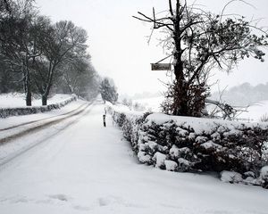 Превью обои дорога, снег, зима, табличка, вывеска, следы