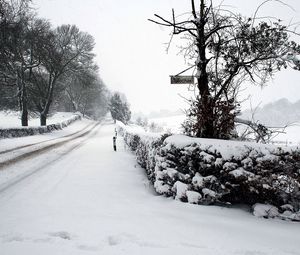 Превью обои дорога, снег, зима, табличка, вывеска, следы