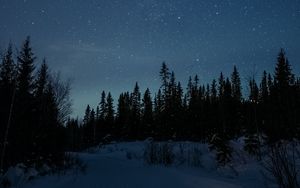 Превью обои дорога, снег, звезды, ночь, лес, зима