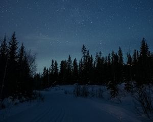 Превью обои дорога, снег, звезды, ночь, лес, зима