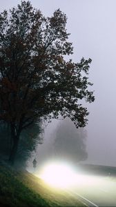 Превью обои дорога, свет, туман, деревья