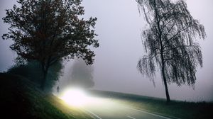 Превью обои дорога, свет, туман, деревья