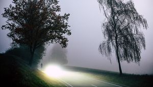 Превью обои дорога, свет, туман, деревья