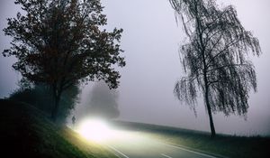 Превью обои дорога, свет, туман, деревья