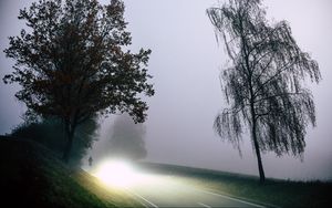 Превью обои дорога, свет, туман, деревья