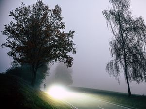 Превью обои дорога, свет, туман, деревья