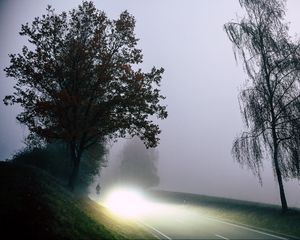 Превью обои дорога, свет, туман, деревья