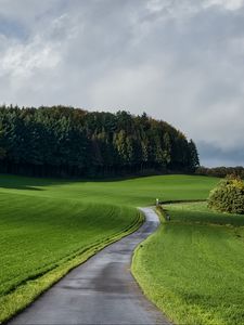 Превью обои дорога, трава, поле, лес, природа, пейзаж