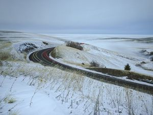 Превью обои дорога, трава, сухой, снег, зима, долгая выдержка