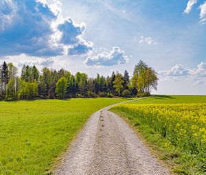 Превью обои дорога, тропинка, деревья, трава