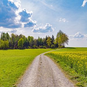 Превью обои дорога, тропинка, деревья, трава