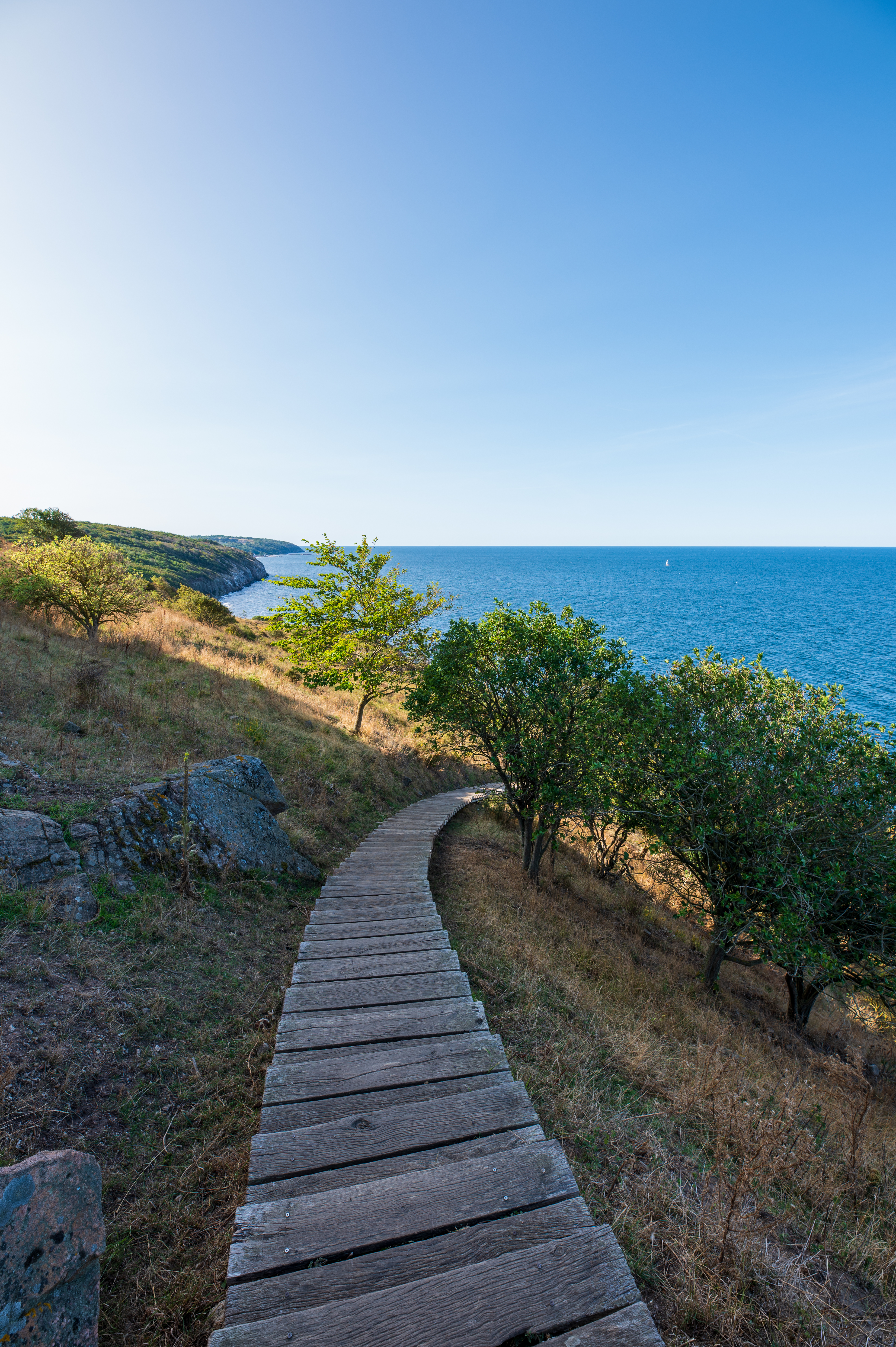 фотография дорога к морю