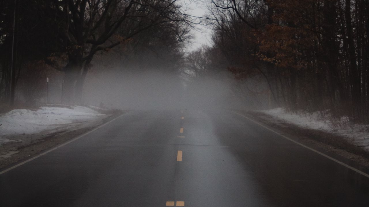 Обои дорога, туман, аллея, деревья