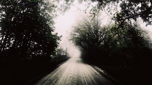 Превью обои дорога, туман, чб, деревья