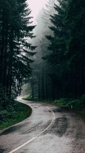 Превью обои дорога, туман, деревья, поворот, асфальт