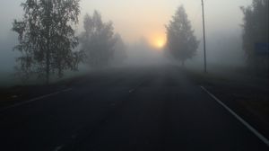 Превью обои дорога, туман, деревья, темный