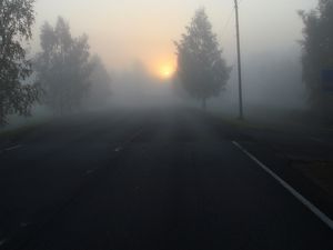 Превью обои дорога, туман, деревья, темный