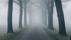 Превью обои дорога, туман, деревья, природа