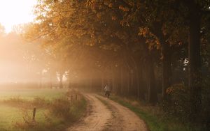 Превью обои дорога, туман, деревья, велосипедист, природа