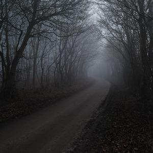 Превью обои дорога, туман, деревья, лес, природа