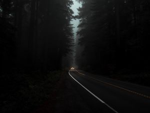 Превью обои дорога, туман, фары, деревья, темный, ночь