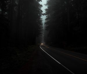 Превью обои дорога, туман, фары, деревья, темный, ночь