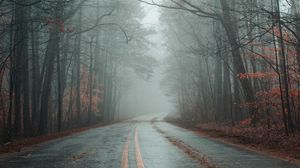 Превью обои дорога, туман, лес, осень, разметка, асфальт