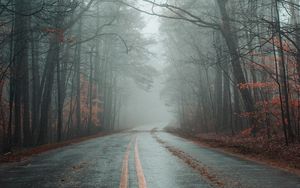 Превью обои дорога, туман, лес, осень, разметка, асфальт