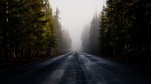 Превью обои дорога, туман, лес, деревья, асфальт