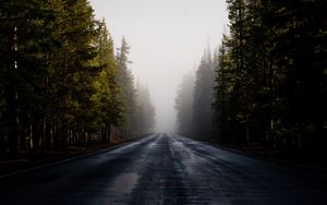 Превью обои дорога, туман, лес, деревья, асфальт